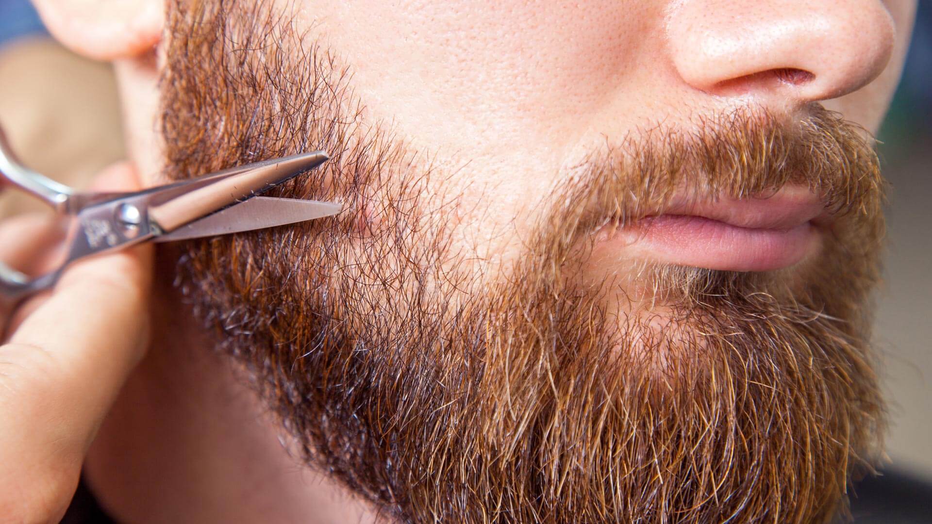 Basic beard care help and instructions for keeping your manly neck mane in prime condition